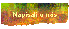 Napsali o ns